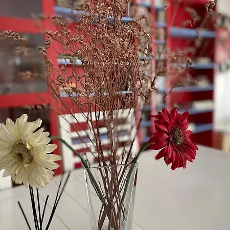 Apartamento Alborada コルドバ